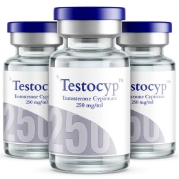 TESTOCYP