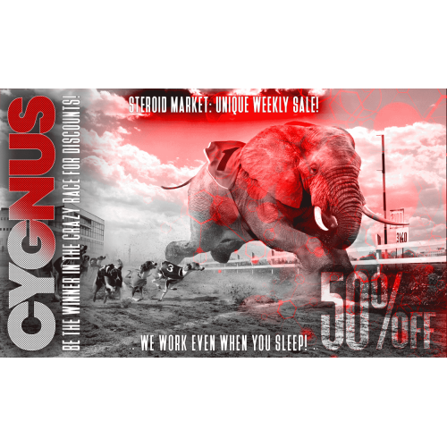 WEEKLY SALE: CYGNUS 50% OFF! BE THE WINNER IN THE CRAZY RACE FOR DISCOUNTS! WEEKLY SALE: CYGNUS 50% OFF! BE THE WINNER IN THE CRAZY RACE FOR DISCOUNTS!
