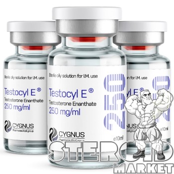 TESTOCYL E FROM CYGNUS GROUP testocyl e from cygnus group