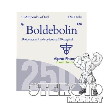 BOLDEBOLIN AMP